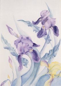 Iris, Mare azul de Karen Armitage