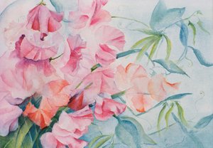 Lathyrus Odoratus, Guisante de olor (horizontal) de Karen Armitage