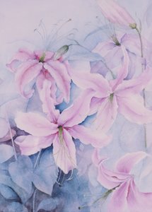Lirios, Auratum rosado de Karen Armitage