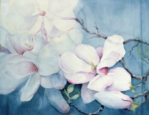 Magnolia Soulangeana (horizontal) de Karen Armitage