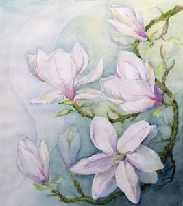 Magnolias de Karen Armitage