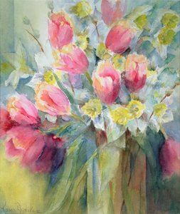 Narciso de Oxford Elite, Ice Follies de Karen Armitage