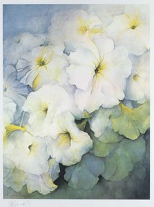 Petunia Bola de Nieve de Karen Armitage
