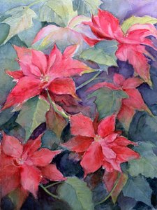 Poinsettia de Karen Armitage