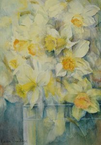Primavera, narcisos mixtos en tanque No 3., Sra. Krelage, Ice Follies y Fortune de Karen Armitage