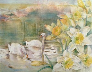 Cisnes en Hurst de Karen Armitage