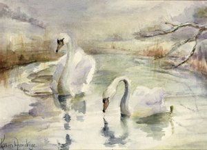 Cisnes en Invierno de Karen Armitage