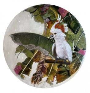 Cacatúa blanca en la selva de Karenina Fabrizzi