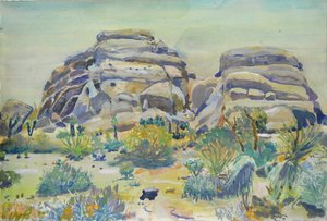 Paisaje de Joshua Tree