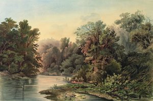 Forest Scene on the Lehigh, Pennsylvania, lámina 1 del volumen 2 de `Travels in the Interior of North America de Karl (after) Bodmer