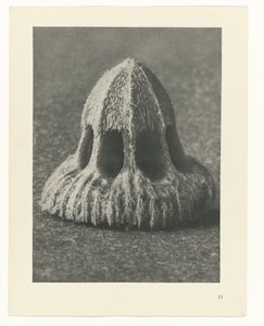 Estudios de plantas Arquetipos del arte: imágenes fotográficas de plantas (título de la serie)