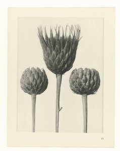 estudio de planos Arquetipos del arte (título de la serie)