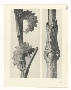 estudio de planos Arquetipos del arte (título de la serie)