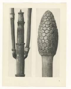 estudio de planos Arquetipos del arte (título de la serie)