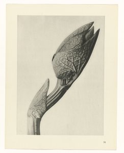 estudio de planos Arquetipos del arte (título de la serie)