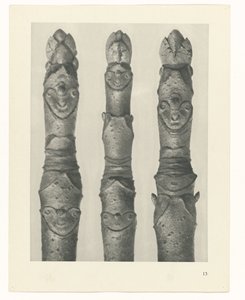 estudio de planos Arquetipos del arte (título de la serie) de Karl Blossfeldt