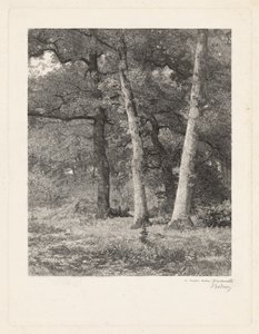 Un claro en el bosque de Karl Bodmer