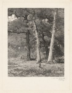  de Karl Bodmer