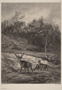 A orillas del agua de Karl Bodmer