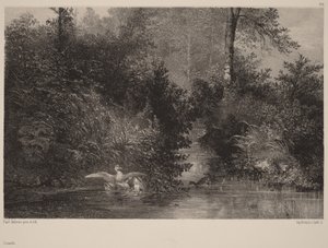  de Karl Bodmer