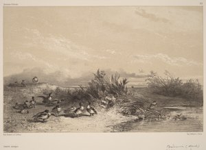  de Karl Bodmer