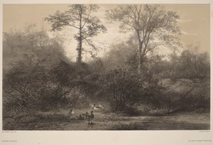  de Karl Bodmer