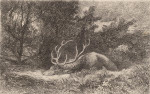Ciervo en reposo de Karl Bodmer