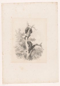 Tres osos en un árbol Paisajes con animales (título de serie) de Karl Bodmer