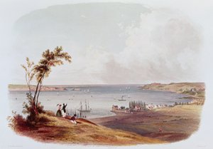 Entrada a la Bahía de Nueva York, Staten Island, grabado por Salathe (litografía en color) de Karl Bodmer