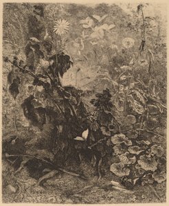 Caracoles y mariposas de Karl Bodmer