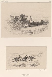 Estudios de Karl Bodmer