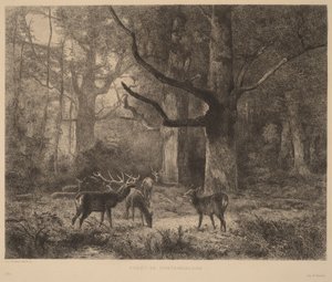  de Karl Bodmer