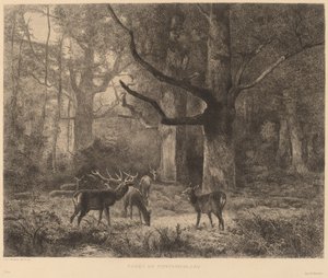 Bosque de Fontainebleau