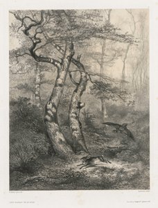 Liebre Perseguida por un Azor, 1858 de Karl Bodmer