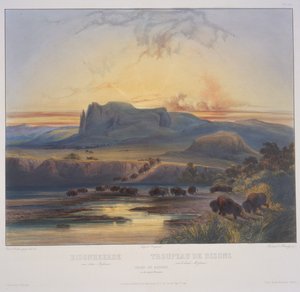 Manada de bisontes en el Alto Missouri de Karl Bodmer