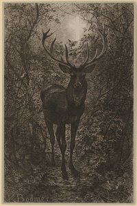  de Karl Bodmer