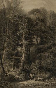 Interior del bosque de Karl Bodmer
