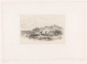 Paisaje con dos ciervos de cola blanca Paisajes con animales (título de serie) de Karl Bodmer
