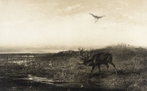  de Karl Bodmer