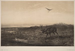  de Karl Bodmer