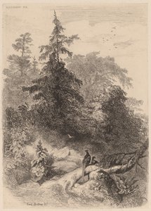 Los faisanes de Karl Bodmer