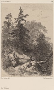 Los faisanes de Karl Bodmer