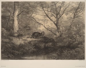  de Karl Bodmer