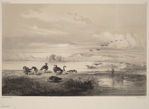 de Karl Bodmer