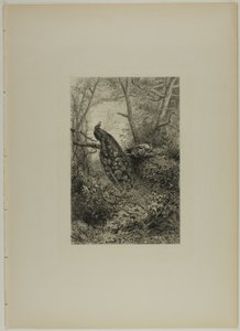 Pavos Reales en una Rama de Karl Bodmer