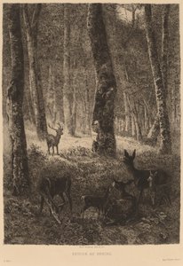 Regreso al redil de Karl Bodmer