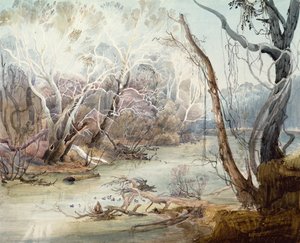 El río Fox cerca de New Harmony, Indiana de Karl Bodmer