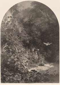 Un rincón del jardín de Karl Bodmer