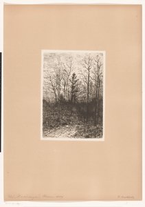 vista al bosque de Karl Buchholz