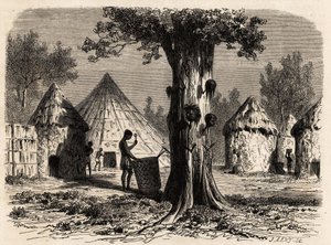 El árbol de la guerra en un pueblo Djour, Sudán